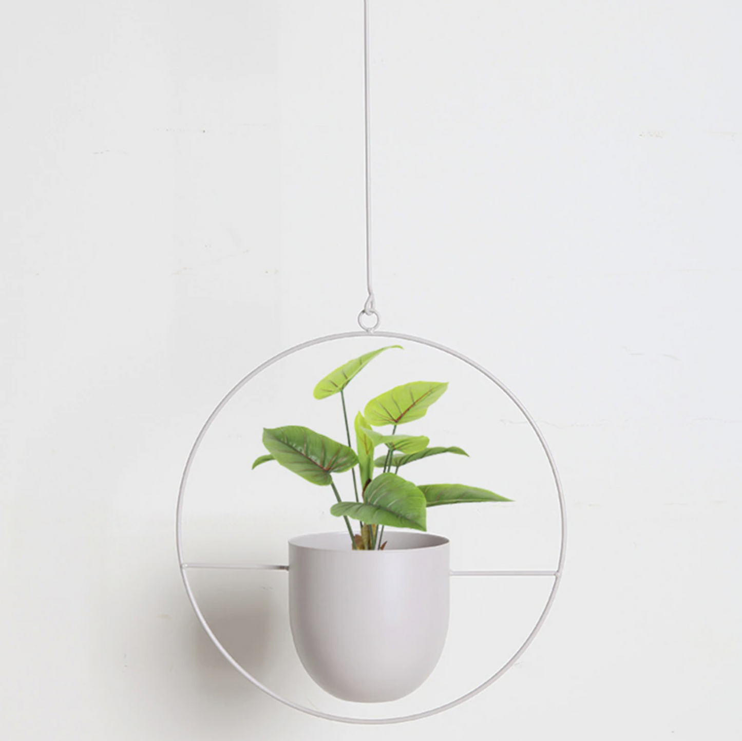 Stylish Plant Hanger in Minimalist Design!
