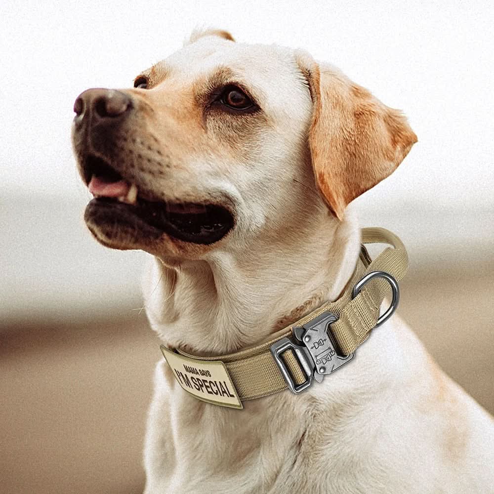 TACTICALK9 DOG COLLAR SET – Durable & Adjustable Collar for Training & Everyday Use